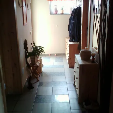 Apartman Dum Skalice 公寓 *