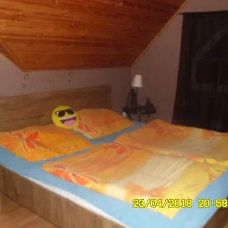 Apartman Dum Skalice * 贝内绍夫