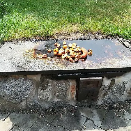 Apartman Dum Skalice