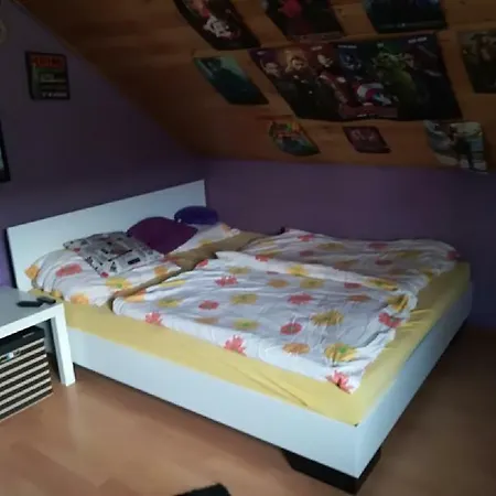 公寓 Apartman Dum Skalice