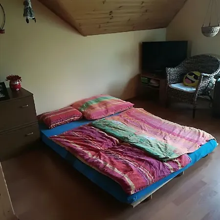 Apartman Dum Skalice 公寓 *